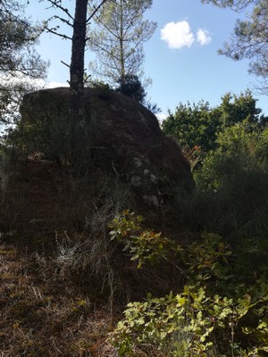 1ª 20240908_175924.jpg