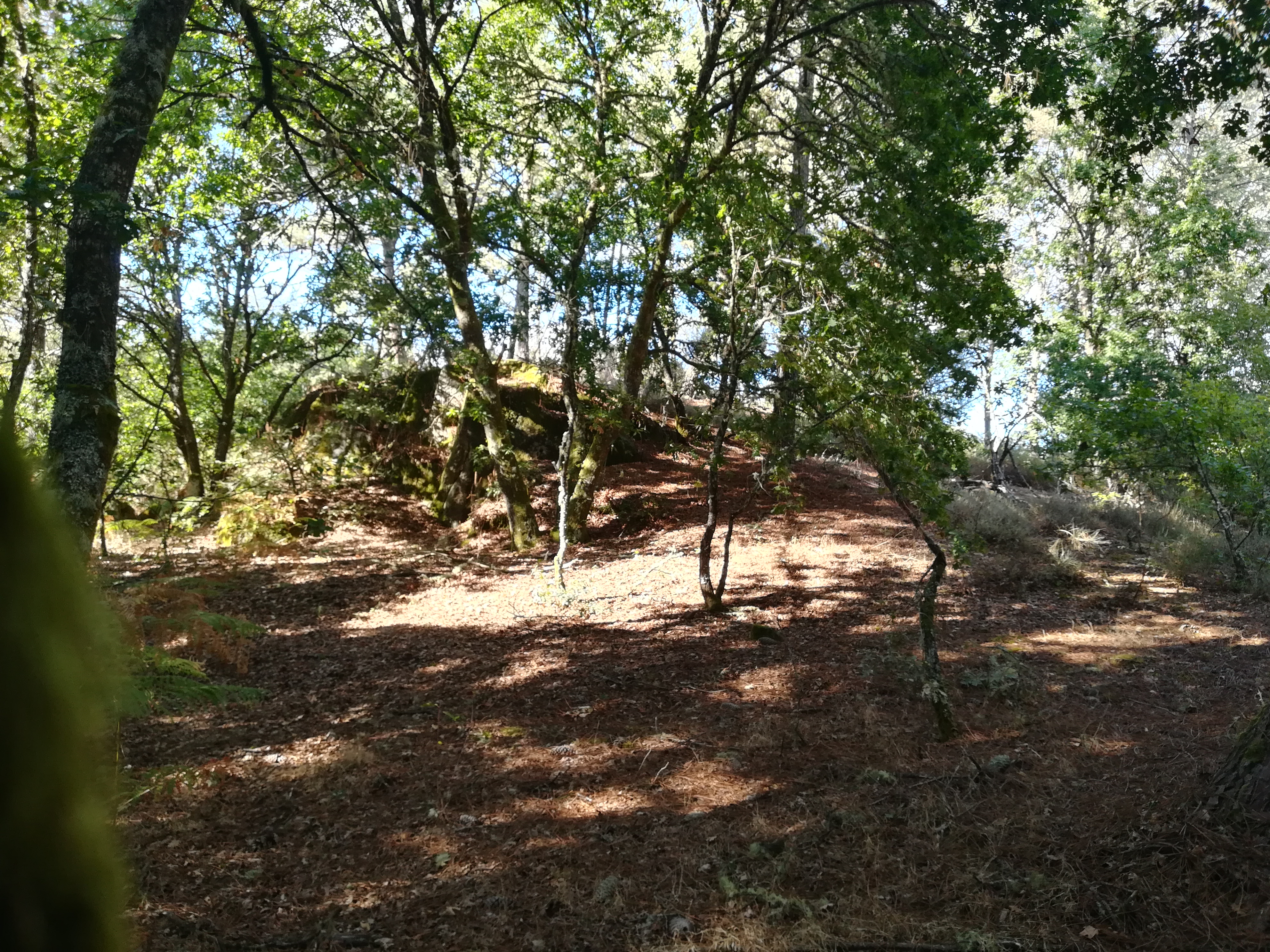 7ª 20240908_181745.jpg