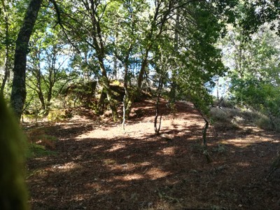 7ª 20240908_181745.jpg