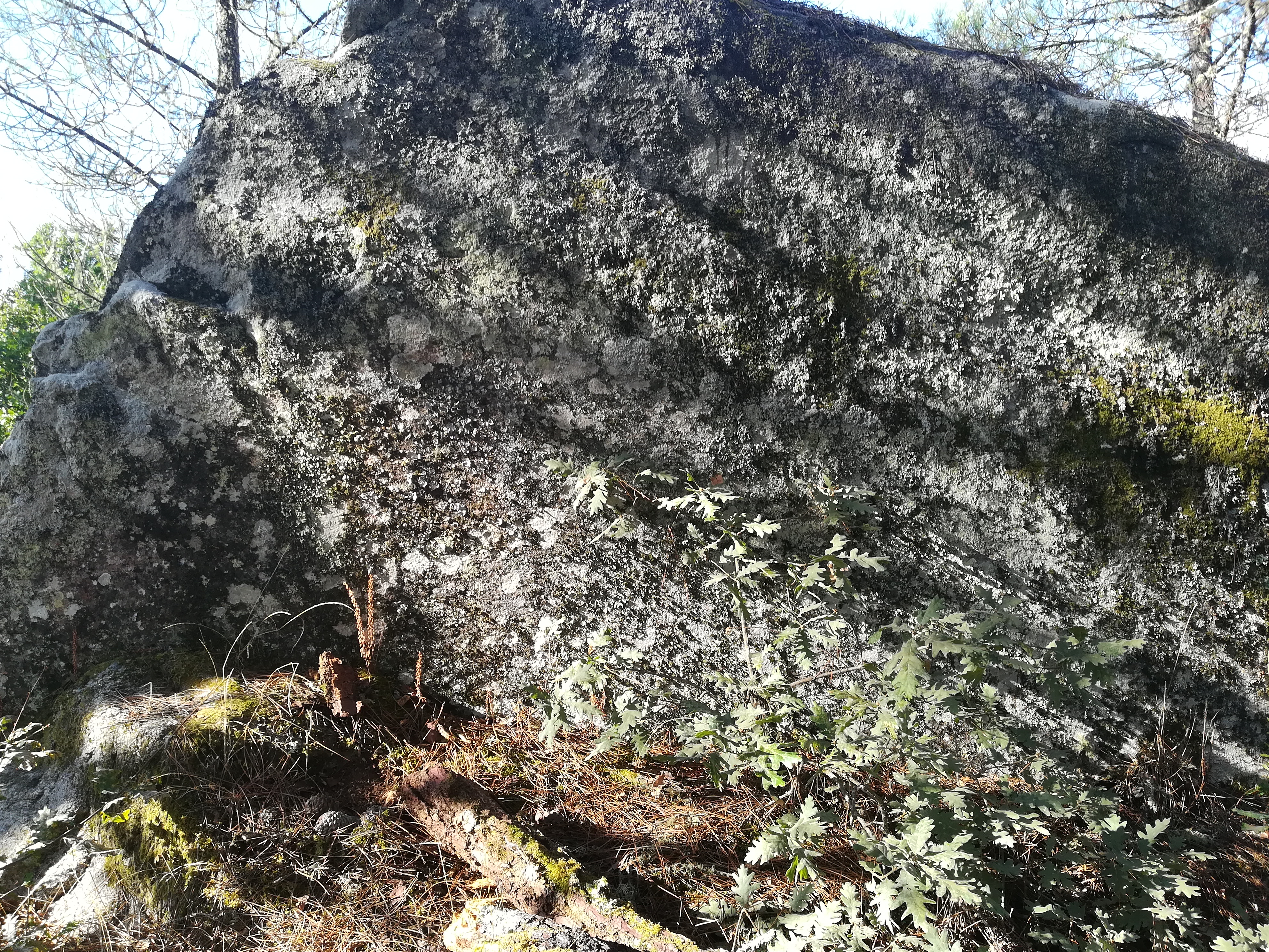 14ª 20240908_182957.jpg