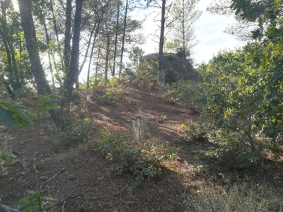 15ª 20240908_183116.jpg
