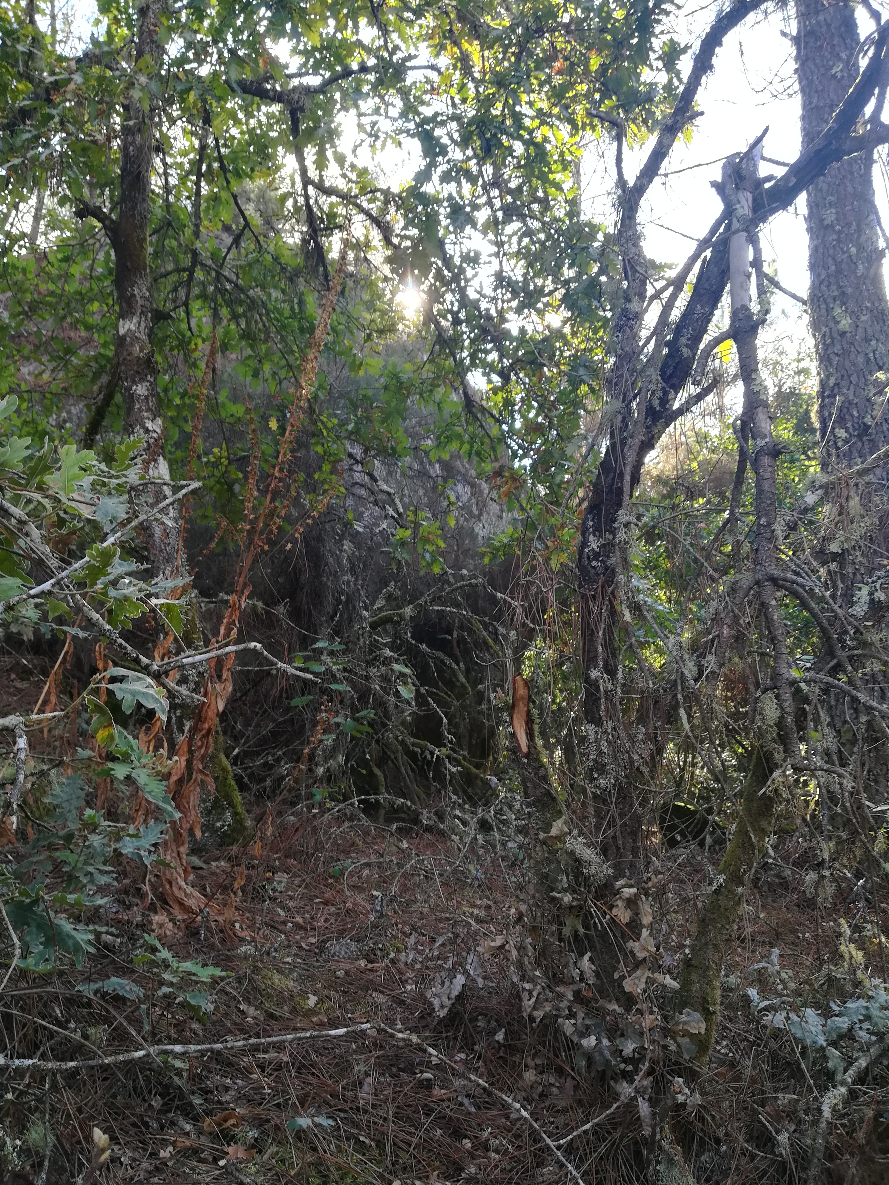 16ª 20240908_183440.jpg