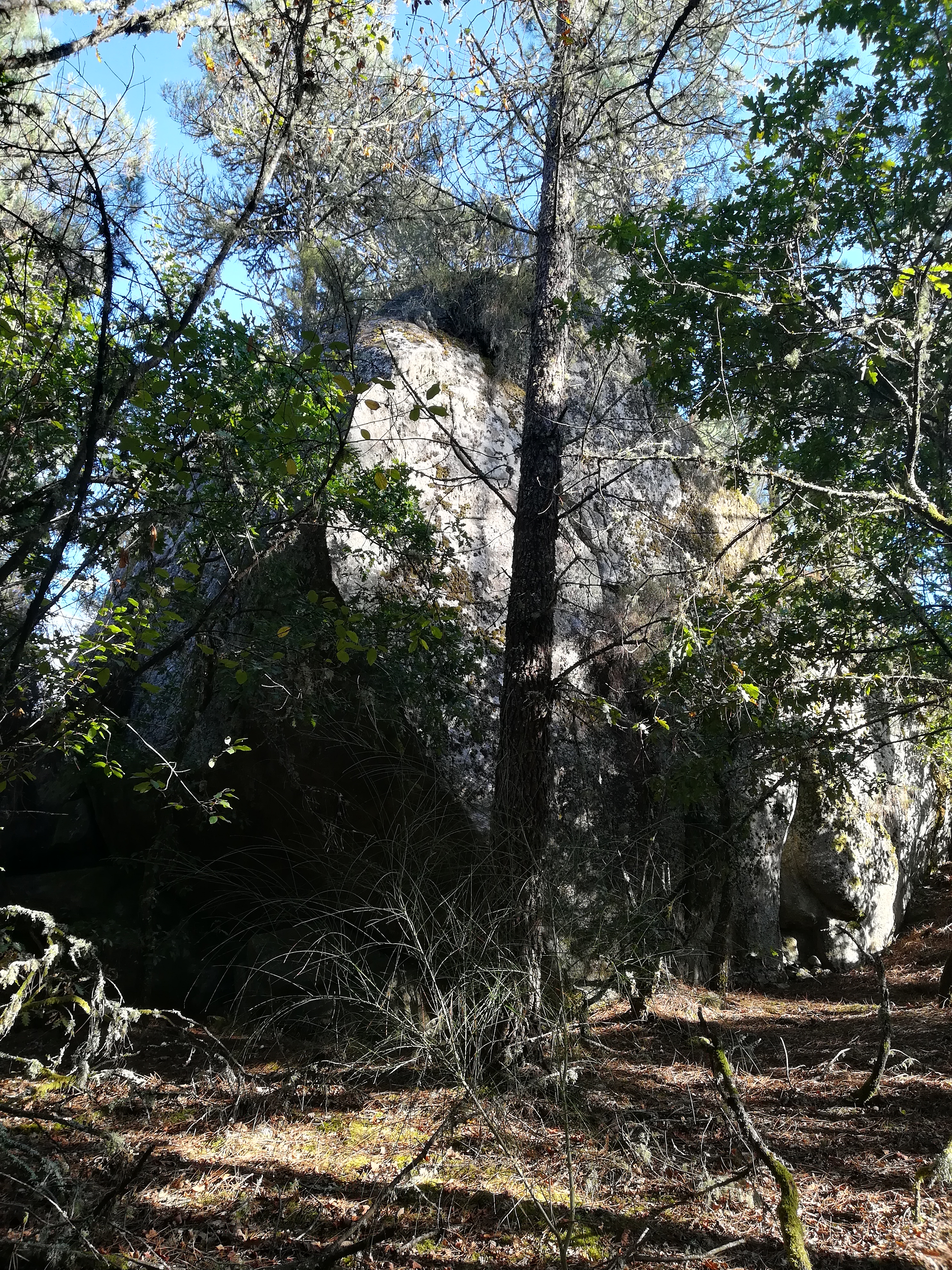 20ª 20240908_184059.jpg