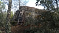 IMG_20250909_105129.jpg