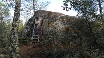 1ª 20250909_105129.jpg